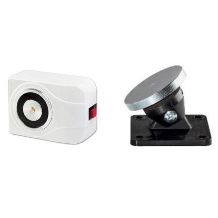  EMF 60 tzgtl mgnes