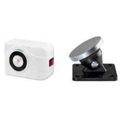   EMF 60 tzgtl mgnes